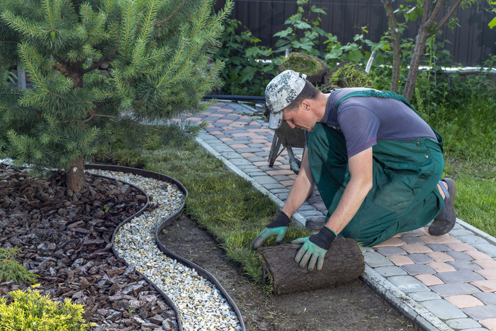 Landscape Gardener Laying Turf For New Lawn stock photo