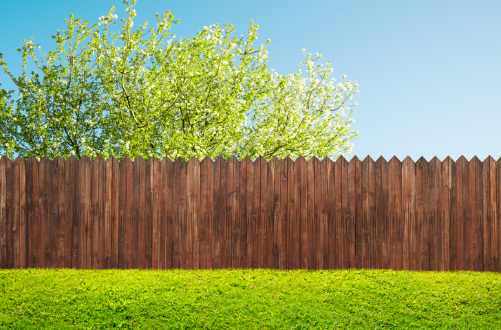 wooden garden fence at backyard and bloom tree in spring