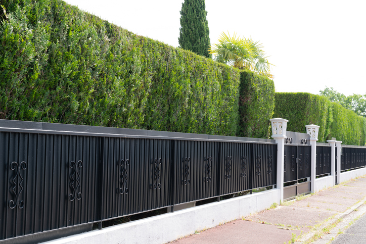 Green hedge Metal Fence of residential house luxury stock photo