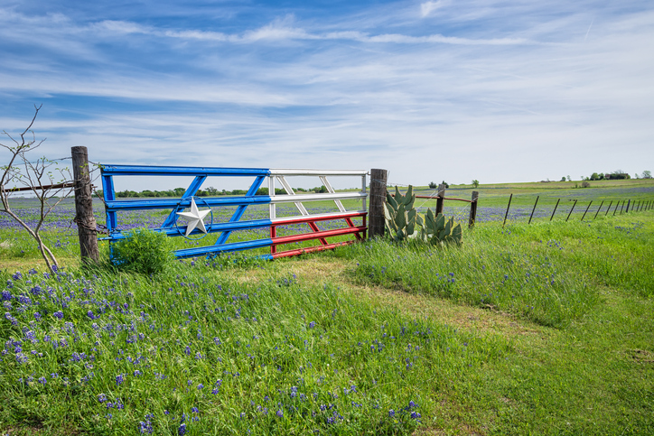 Texas bluebonnet field and fence in spring DIY vs. professional fence installation stock photo