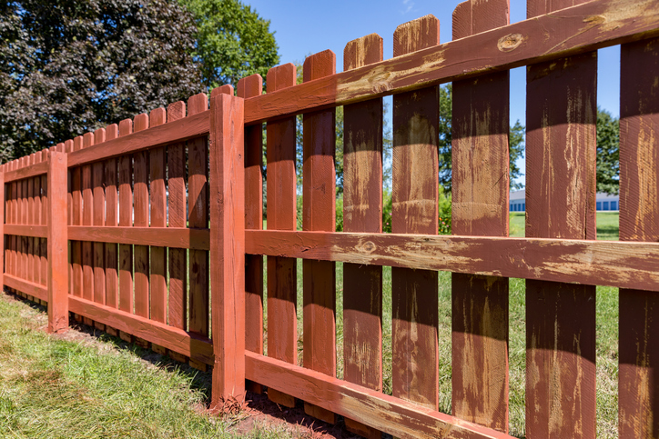 Wooden privacy fence in backyard with pickets being painted red stock photo